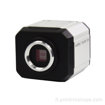 Camera digitale per microscopio VGA 2MP con MUTI-output